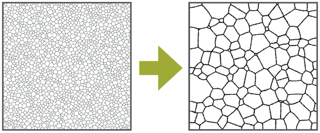 DIGIMU_croissance_grains