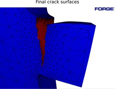 FORGE_cracks_propagation3