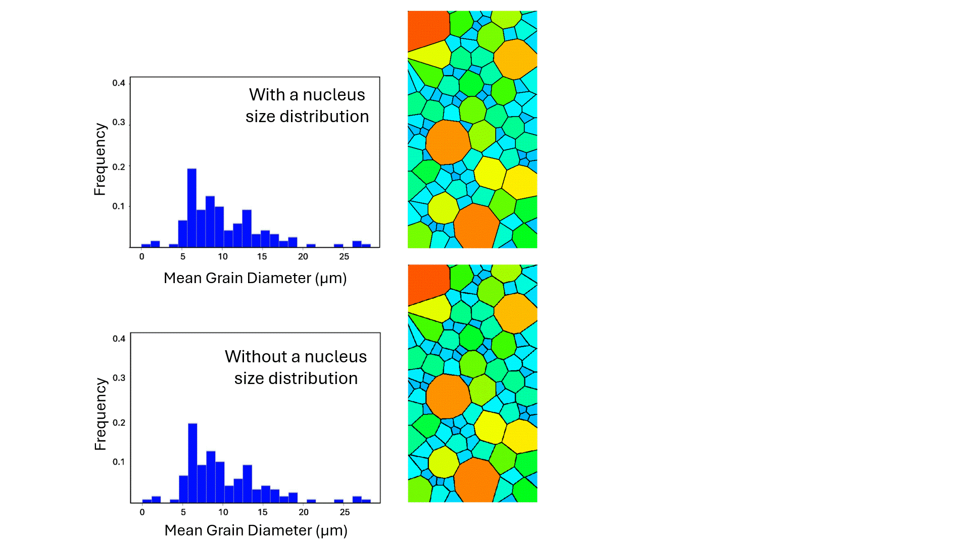Nucleus_Size_Distribution.gif