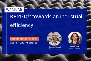 Webinar_REM3D_Vignette_site 500x333