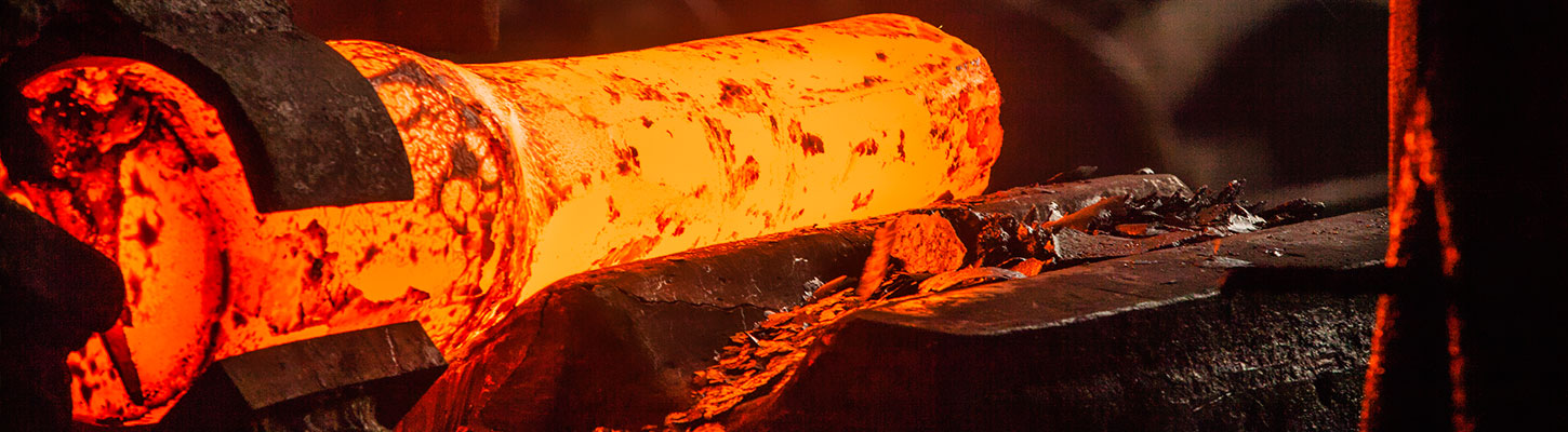 FORGE® Hot Metal Forming PREMIUM module